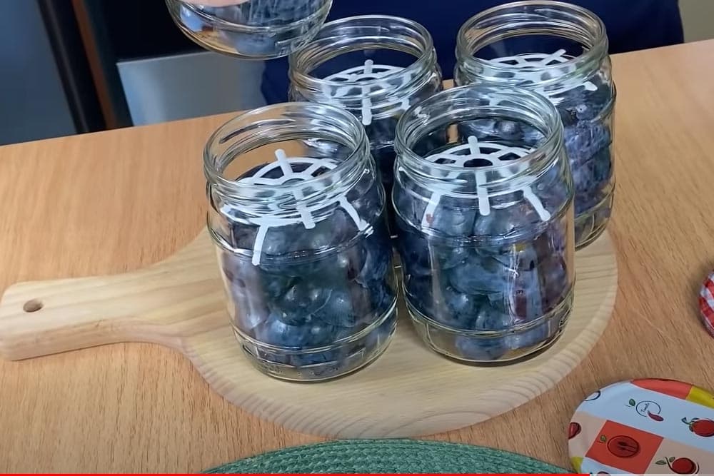 domaći kompot od šljiva