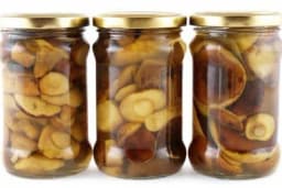 Kako se priprema pasterizovani vrganj