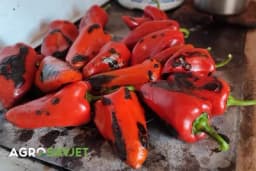 Kako spremiti pečene paprike za zimnicu - Postoji više načina