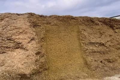 Kiseline koje čuvaju kvalitet silaže