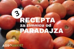 Zimnica od paradajza: 3 najbolja recepta!