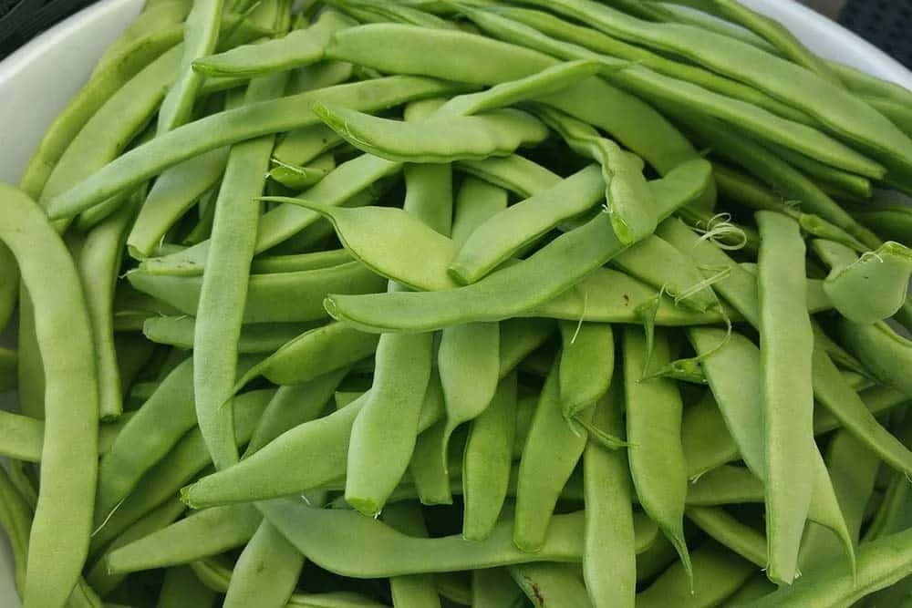 boranija