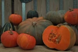 BUNDEVA JE ZVIJEZDA JESENJEG JELOVNIKA, ALI NE PREPORUČUJE SE SVIMA - Ko bi trebalo da je izbjegava?