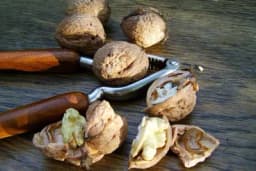 Ljuske od oraha - Niste ni svejsni za šta su sve dobre, evo kako ih možete koristiti kod ovih problema