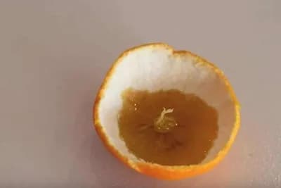 Zašto treba da sipate ulje u koru mandarine: Potpuni hit na internetu! (VIDEO)