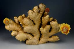 KAKO SE ČUVA ĐUMBIR - Evo koliko dugo može da stoji svjež, oljušten, a koliko zamrznut