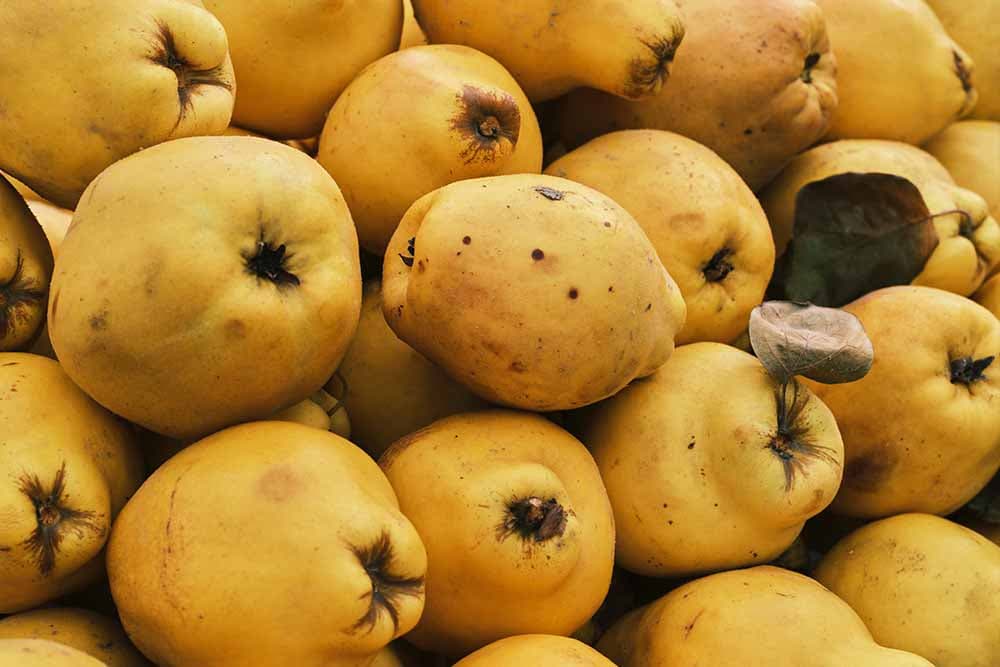 čaj od sjemenki dunje