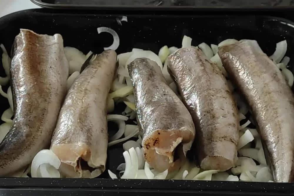 oslić
