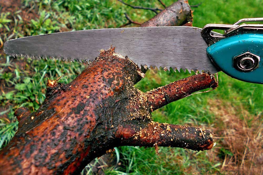 rezidba debelih grana