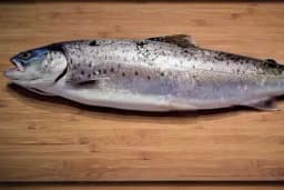 Čišćenje ribe u svega nekoliko minuta - Veoma brz i efikasan način