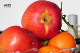 Zašto jabuke ne treba guliti