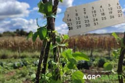 Veliki kalendar za baštu i vrt: Kad se šta sadi, prekopava, đubri...