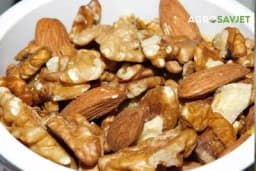 Orašasti plodovi najdragocjeniji saveznik ženskog zdravlja