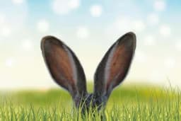 Miroslav se bavi neobičnim zanimanjem – Novac samo kaplje