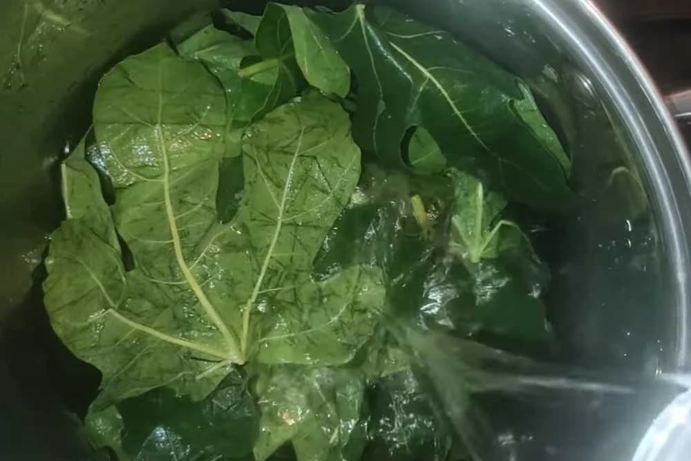 sirup od listova smokve