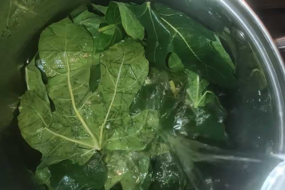 sirup od listova smokve