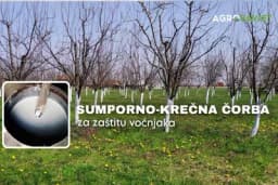 Inovacije u zimskom prskanju voćaka - Prskanje sumporno-krečnom čorbom za zaštitu voćnjaka