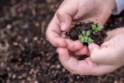 Biostimulatori - Supstance koje poboljšavaju rast biljaka