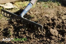 Pravilno pripremite zemlju prije sadnje povrća: Evo nekoliko važnih savjeta