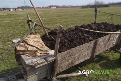 Skriveni potencijal vašeg stajnjaka - kako da ga iskoristite za najbolje rezultate u vašoj bašti?