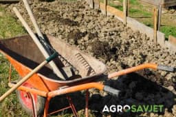 Tajne pripreme zemljišta za proljetnu sadnju - otkrijte kako uzgojiti savršeno povrće u svom vrtu!