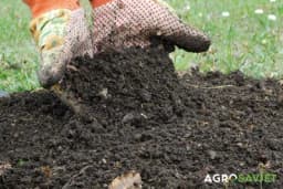 PRIPREMA ZEMLJIŠTA ZA SJETVU – Dezinfekcija bez hemije