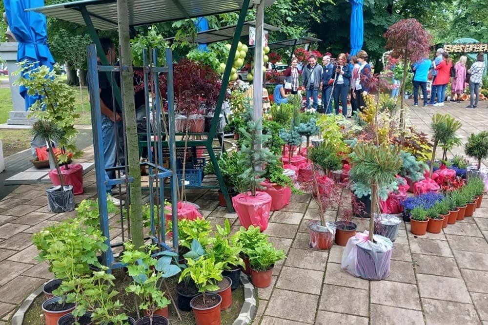 Sajam cvijeća u Bijeljini