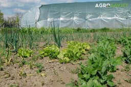 Majski radovi u bašti i dvorištu