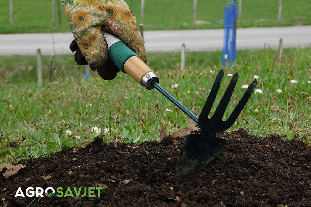 rad u bašti i vrtu