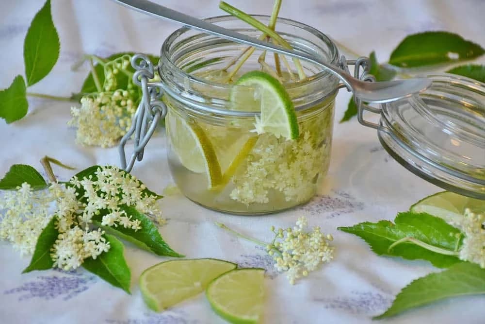 sirup od bazge