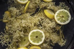 Domaći sok od zove bez kuvanja koji čisti organizam – Sada je idealno vrijeme da ga napravite