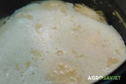 Kako napraviti pivski kvasac?