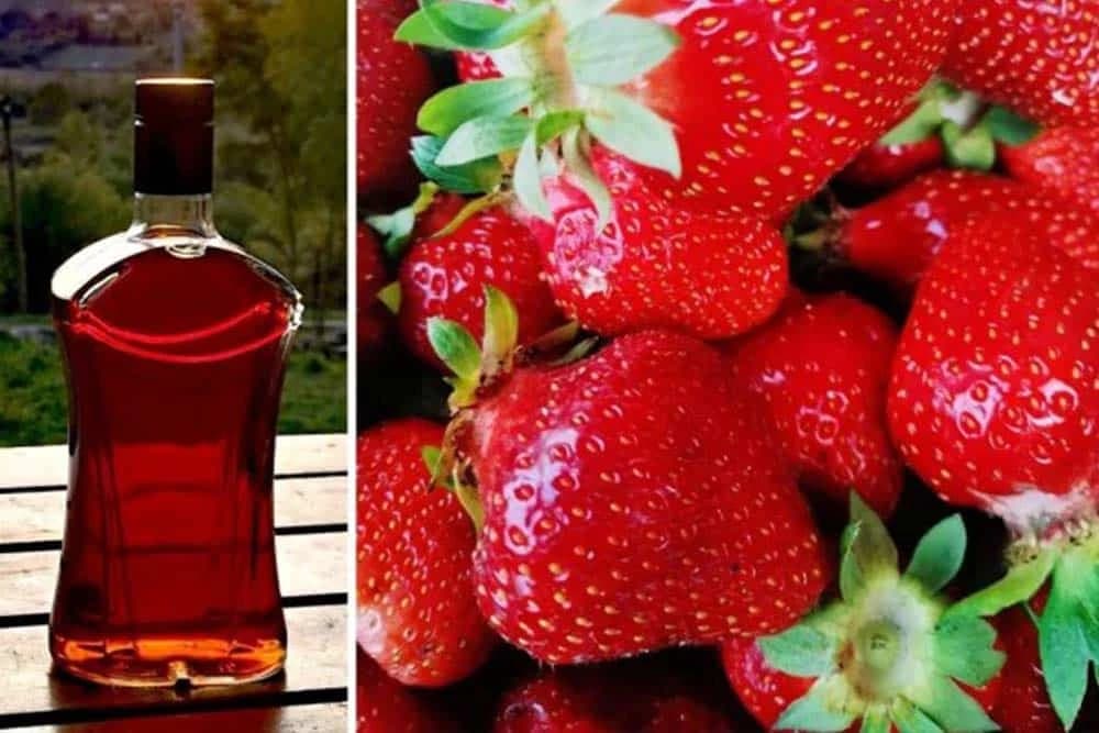 rakija od jagoda