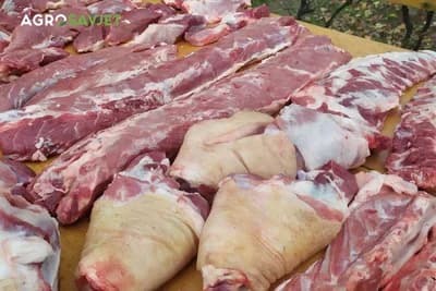 Razlike u izgledu mesa zdravih i bolesnih životinja