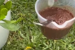 Spasite biljke od vrelih dana i oporavite ih od bolesti sa ovom mješavinom