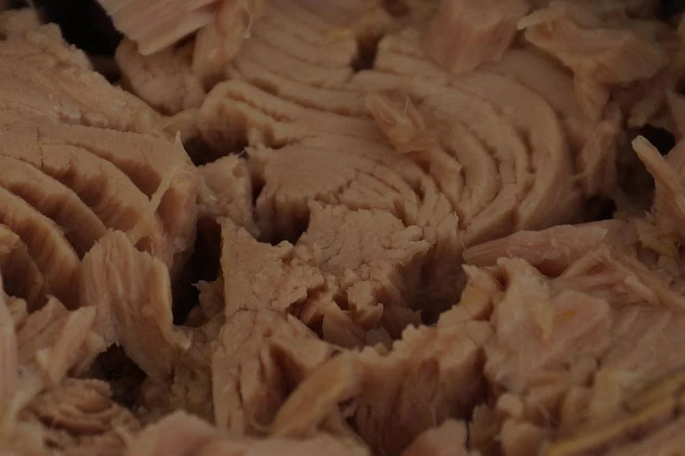 tuna