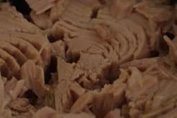 Šta je bolji izbor: Konzerva tunjevine u ulju ili u salamuri?