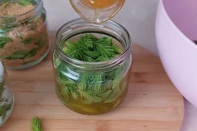 Sirup od borovih iglica je narodni lijek koji najviše pomaže tokom zime