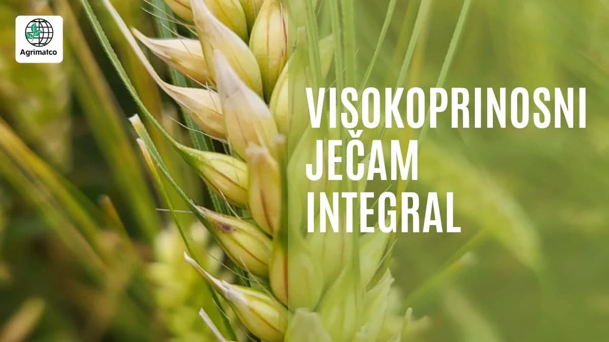 integral ječam