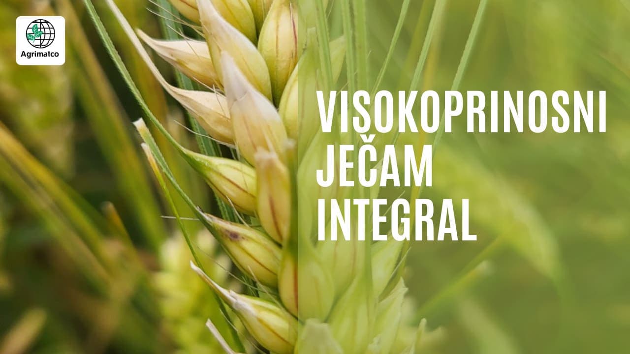 integral ječam