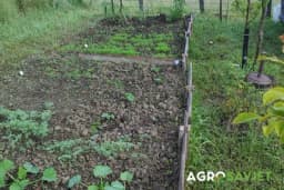 Kako pripremiti zemljište za sljedeću sezonu?