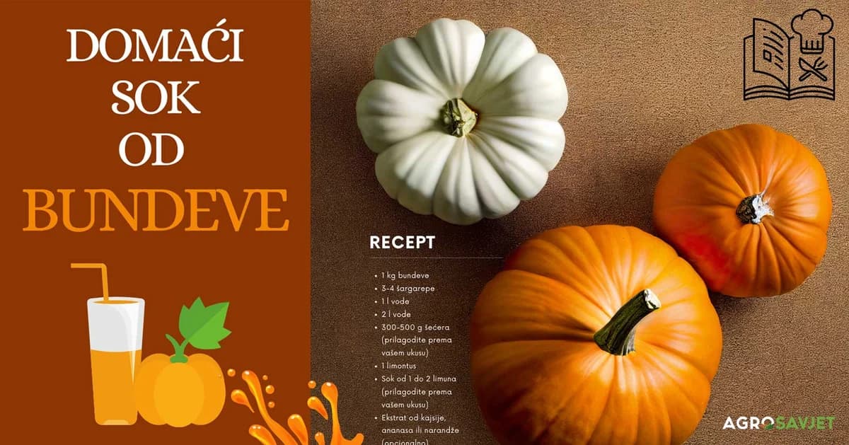 domaći sok od bundeve