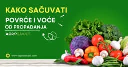 Kako sačuvati voće i povrće od propadanja