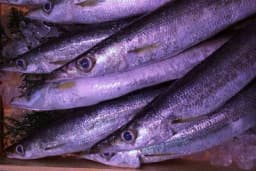 Ovu ribu nikako ne spremajte za slavu - Stručnjaci upozorili, uopšte nije zdrava