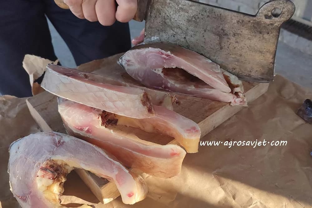 kako pripremiti ribu