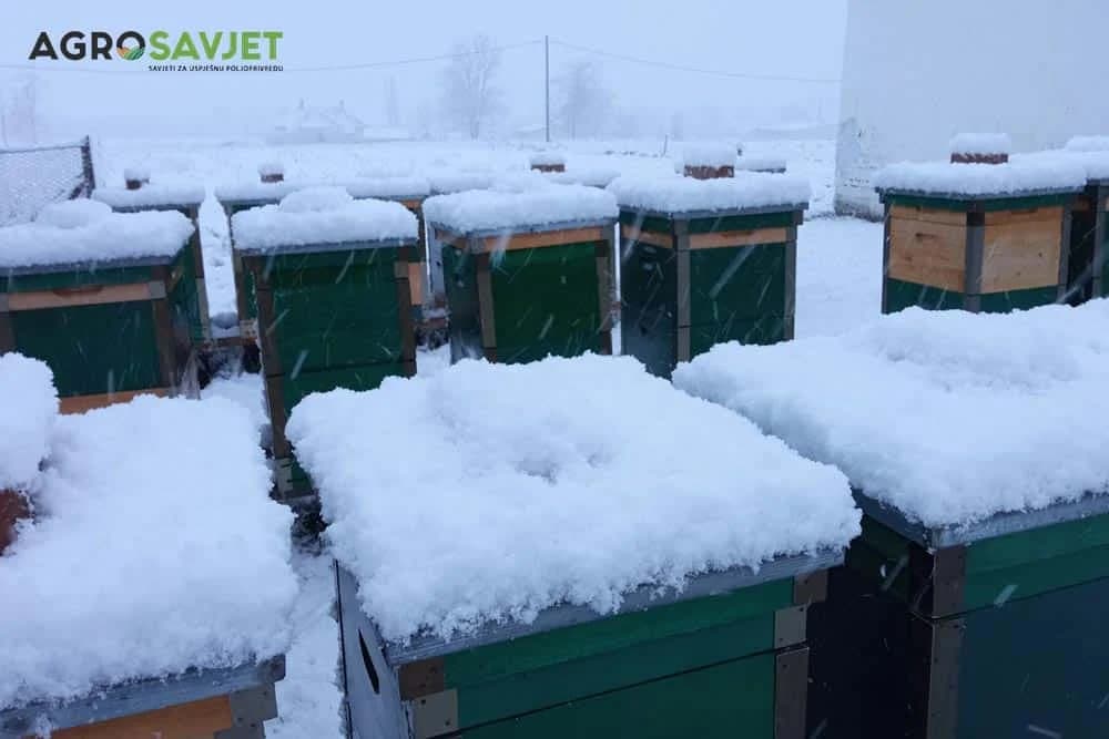 radovi u pčelinjaku zimi