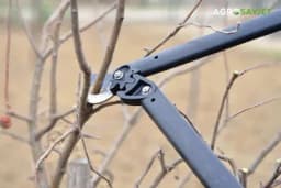 Mart krajnji rok za zimsku rezidbu voća: Ovo su osnovni savjeti prilikom orezivanja