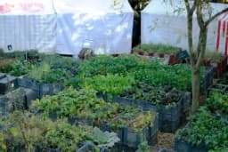 Mart u bašti - Mudri potezi za proljetnu sezonu