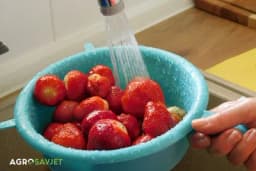 Kako temeljno očistiti jagode