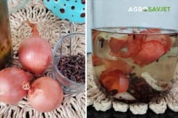 Riješite se opadanja kose - Provjeren domaći sprej od samo tri sastojka